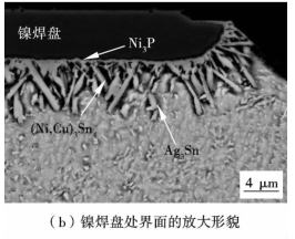鎳焊盤處界麵放大形貌