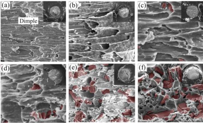 焊點陰極側(ce) (上)和陽極側(ce) (下)剪切失效圖
